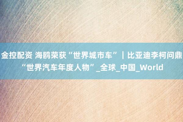 金控配资 海鸥荣获“世界城市车”｜比亚迪李柯问鼎“世界汽车年度人物”_全球_中国_World