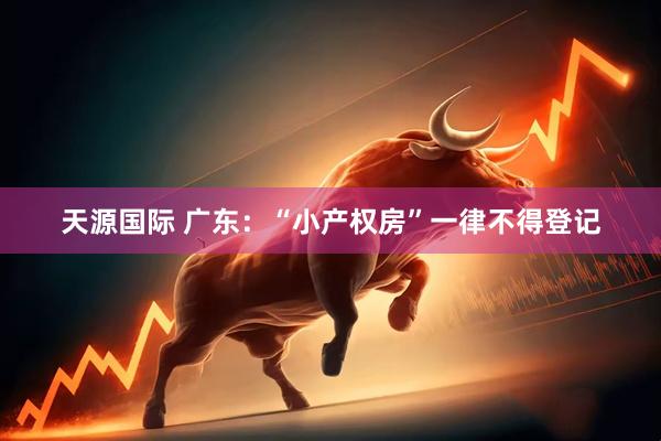 天源国际 广东：“小产权房”一律不得登记